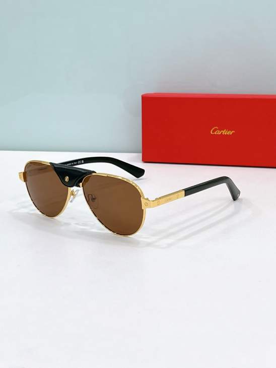 Picture of Cartier Sunglasses _SKUfw79566426fw